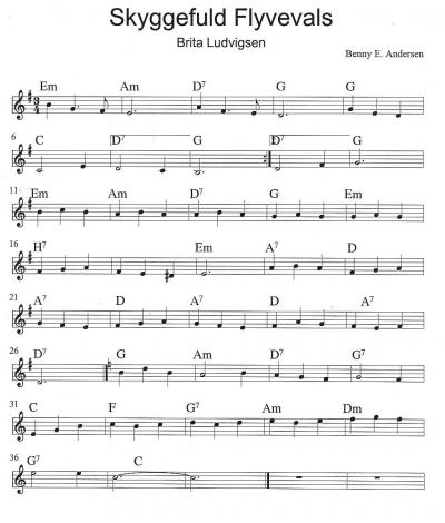 22 Skyggefuld Flyvevals.jpg